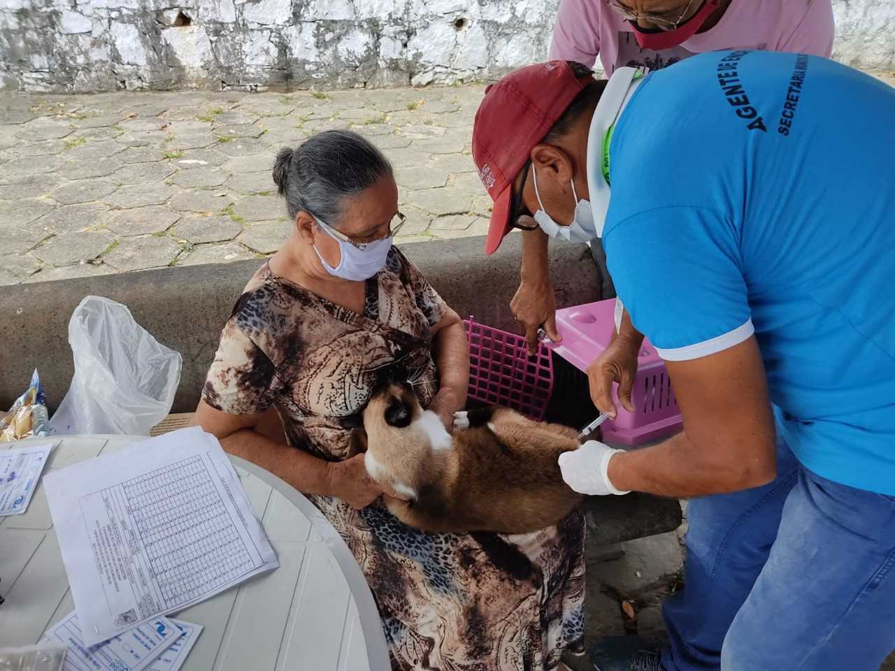 Camacã: Prefeitura realiza campanha de Vacinação antirrábica